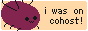 "i was on cohost" button by mykocalico