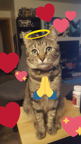 she has done nothing wrong, ever, in her life